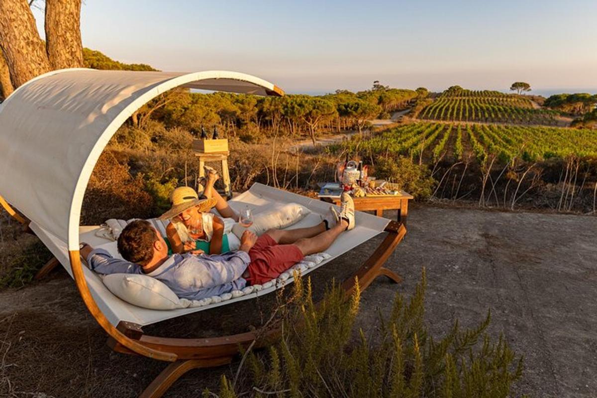 a group of people laying on beds in a tent
