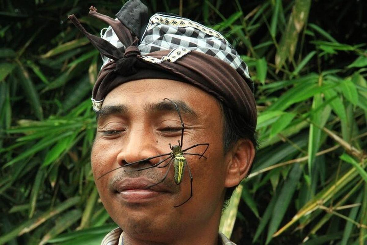 un hombre con una araña en la cara
