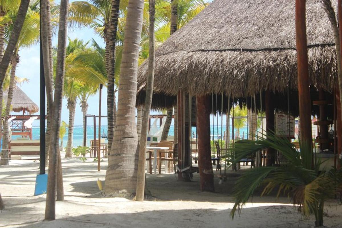 a beach with a straw hut and palm trees