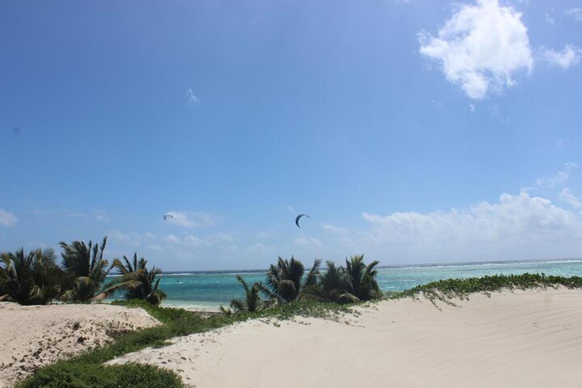 a kite is flying over the ocean on a beach