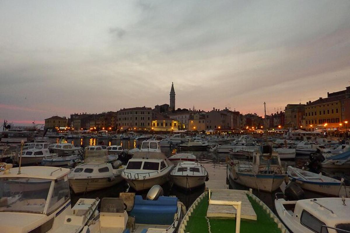 un munt de vaixells estan atracats en un port