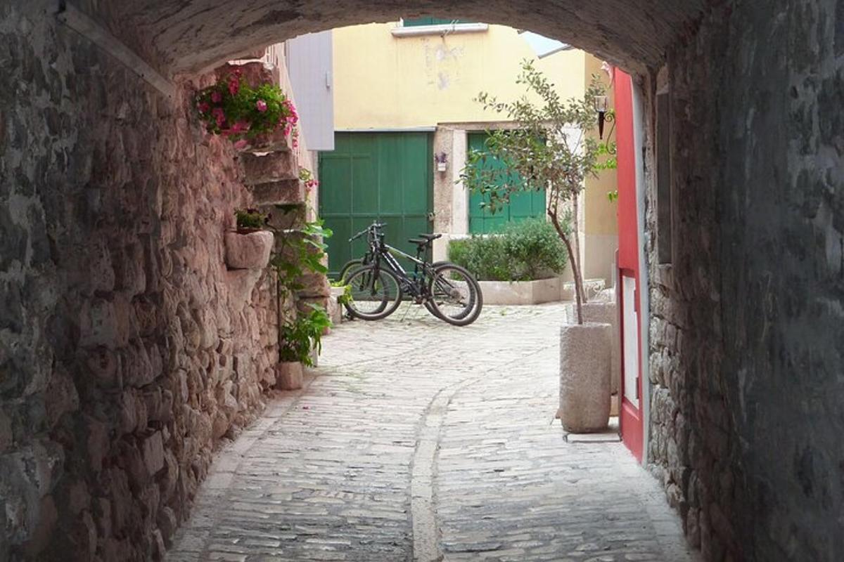 un carreró amb una bicicleta aparcada en un edifici