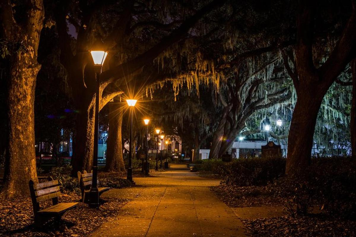 a park at night with a bench and street lights