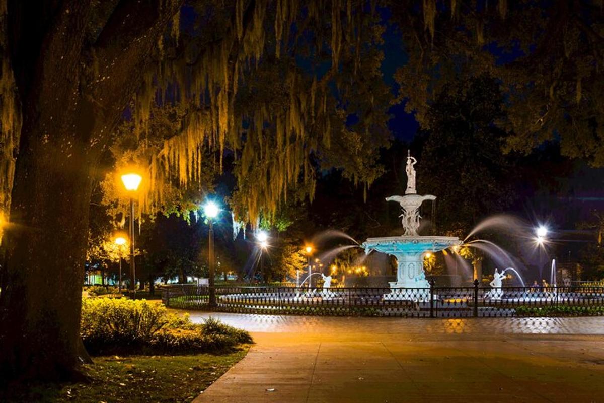 a fountain in a park at night with lights