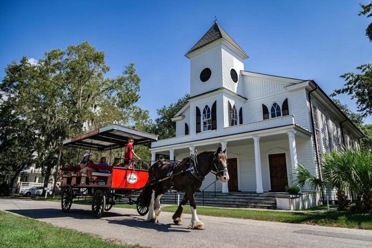 a horse pulling a carriage in front of a building