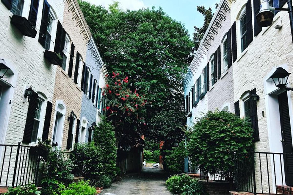 两栋建筑之间的小巷，有一棵树