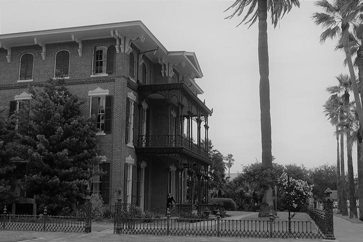 a black and white photo of a building with palm trees