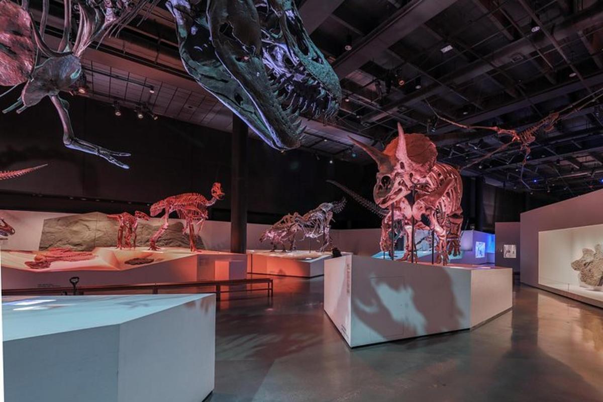 a museum with many different types of dinosaurs on display