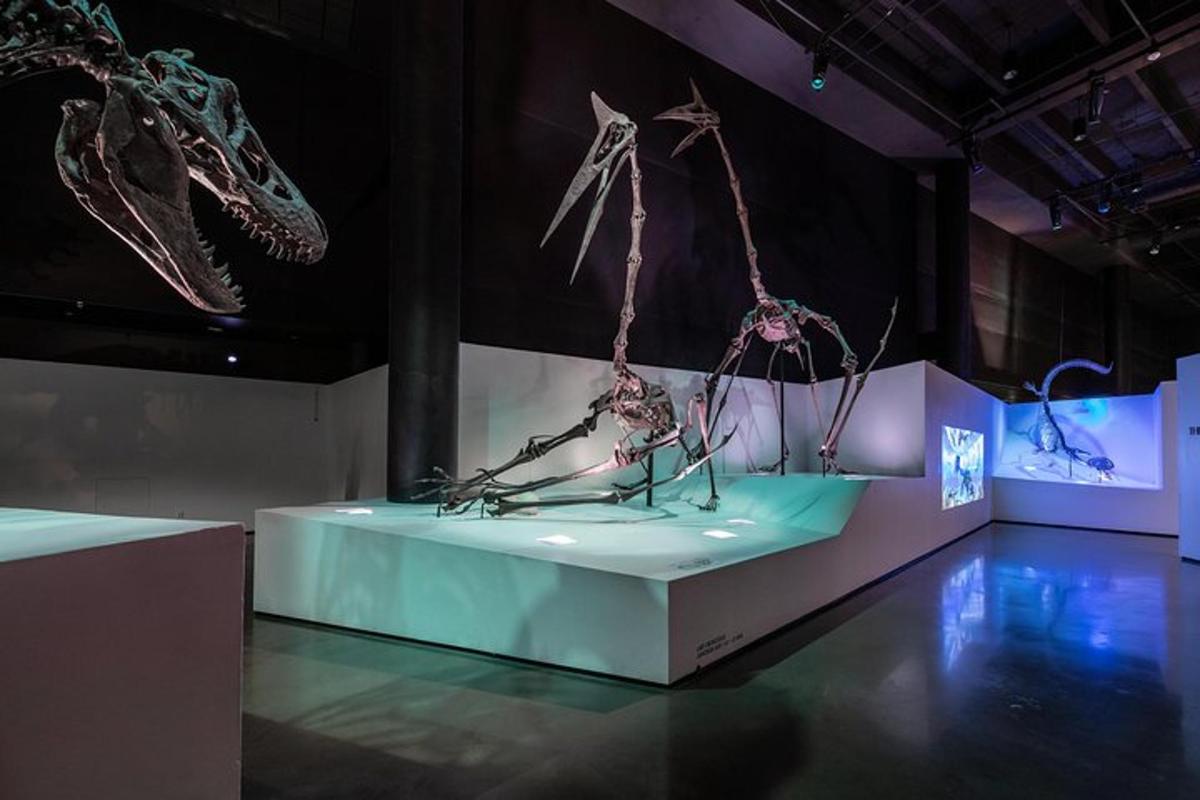 a museum exhibit with two dinosaur skeletons on display