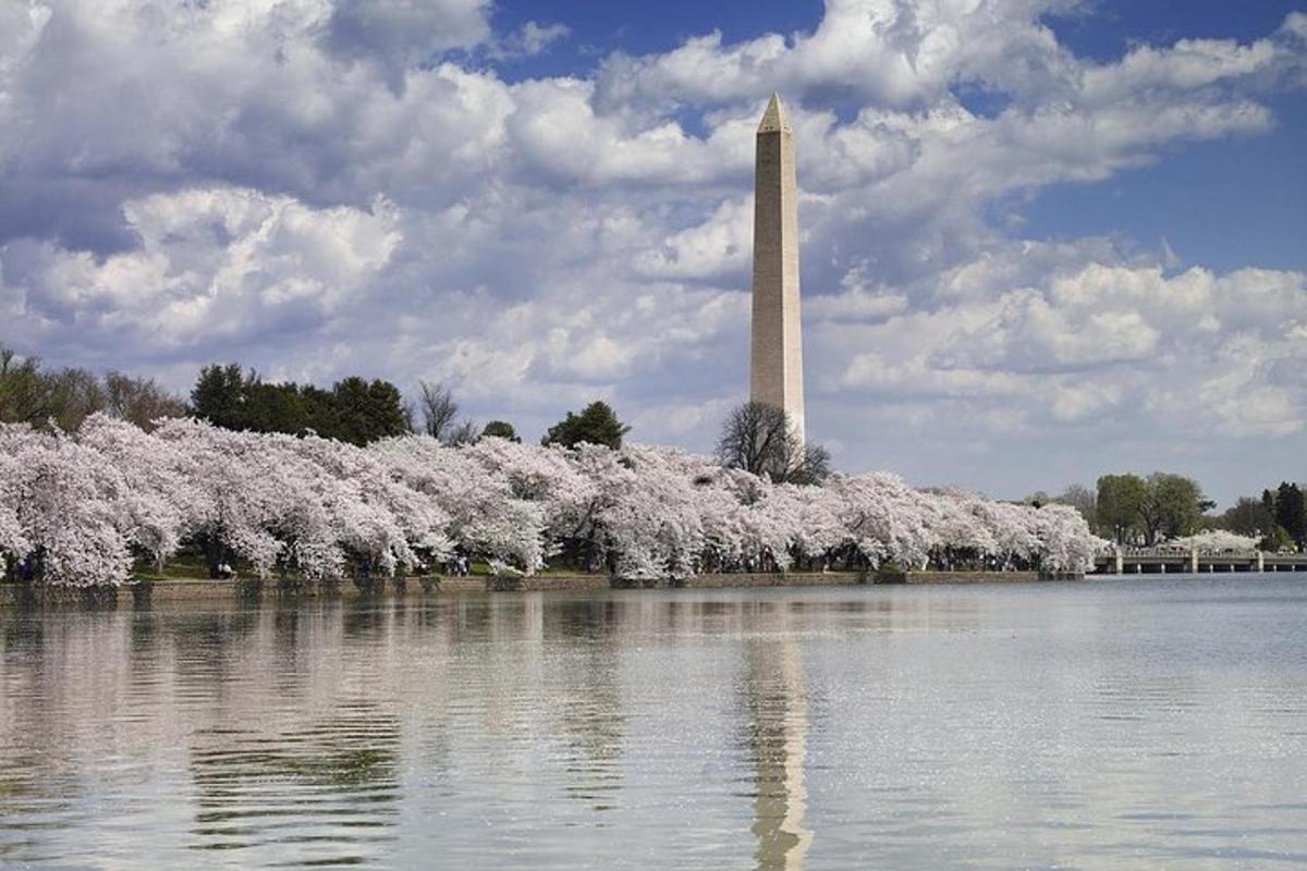 un obelisco in mezzo a uno specchio d'acqua con un monumento in