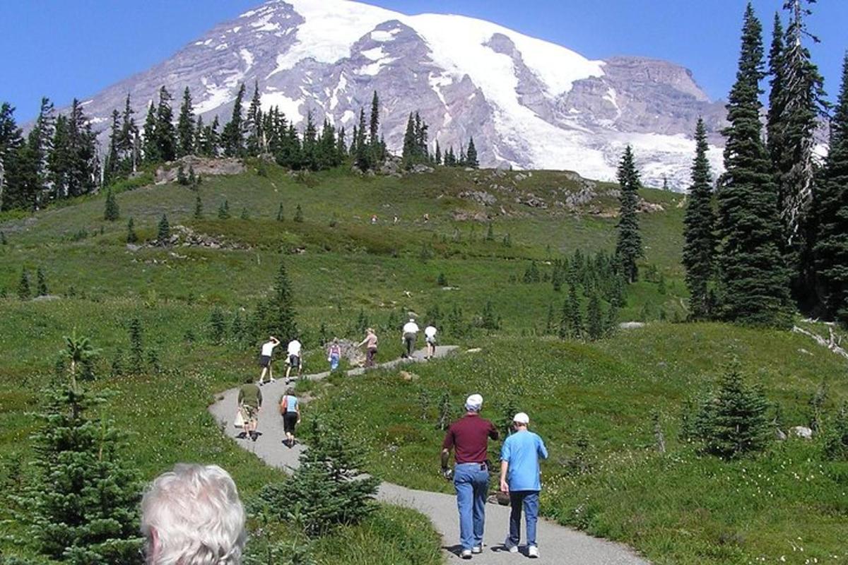 a group of people walking down a trail with a snow covered mountain