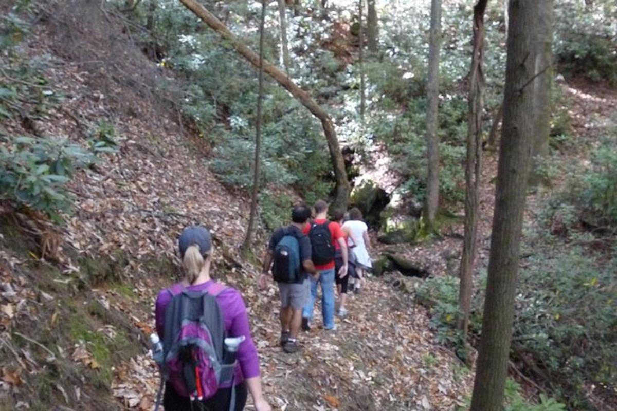 a group of people walking on a trail in the woods