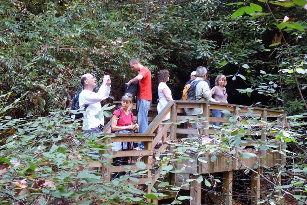 a group of people standing on a wooden bridge