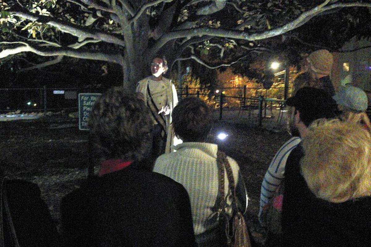 a group of people looking at a man in a tree