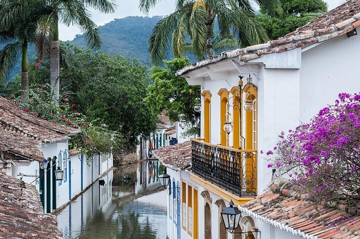uma vista de um canal com casas e palmeiras