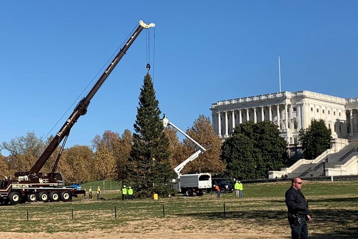 a crane is lifting a christmas tree in front of the lincoln