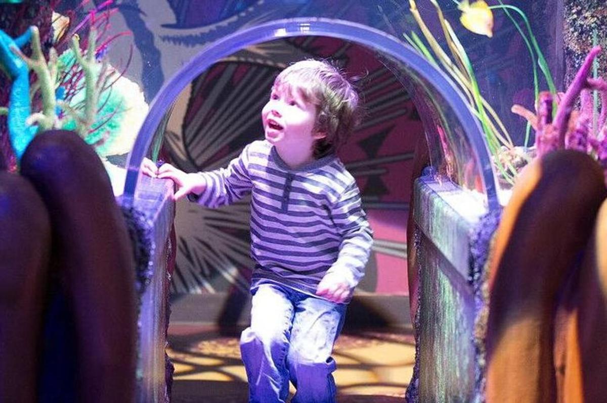 a young child playing on a roller coaster