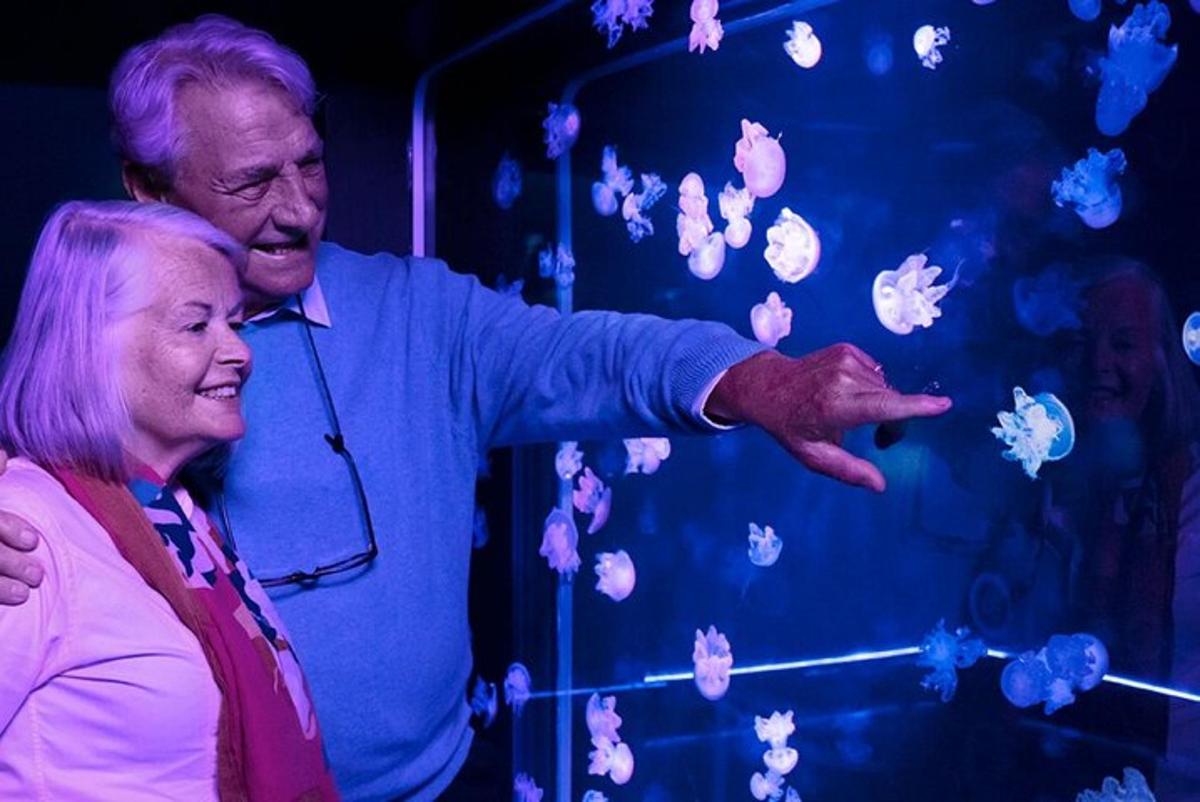 a man and a woman standing in front of a display