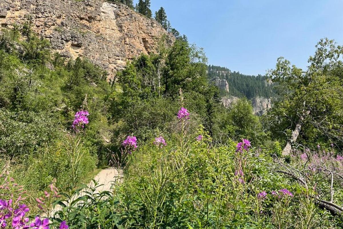 a hillside with purple flowers and trees and a mountain