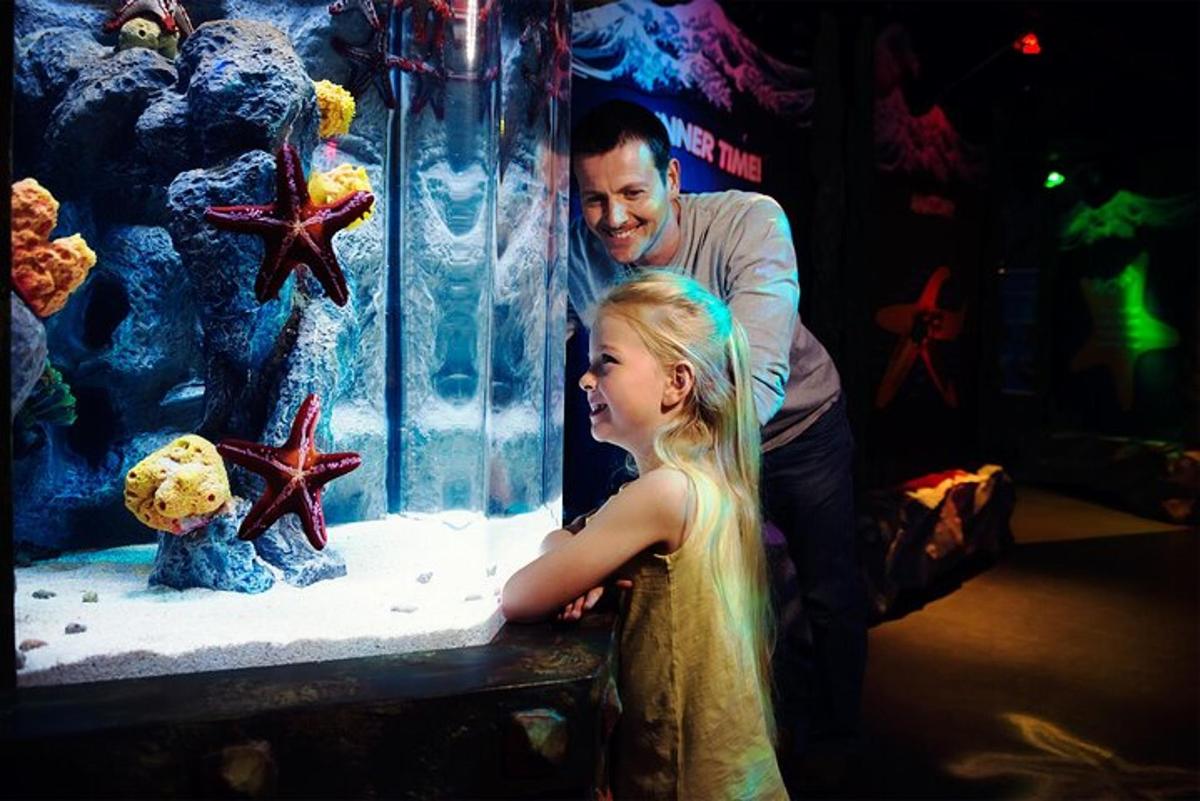 a man and a little girl looking at a fish tank