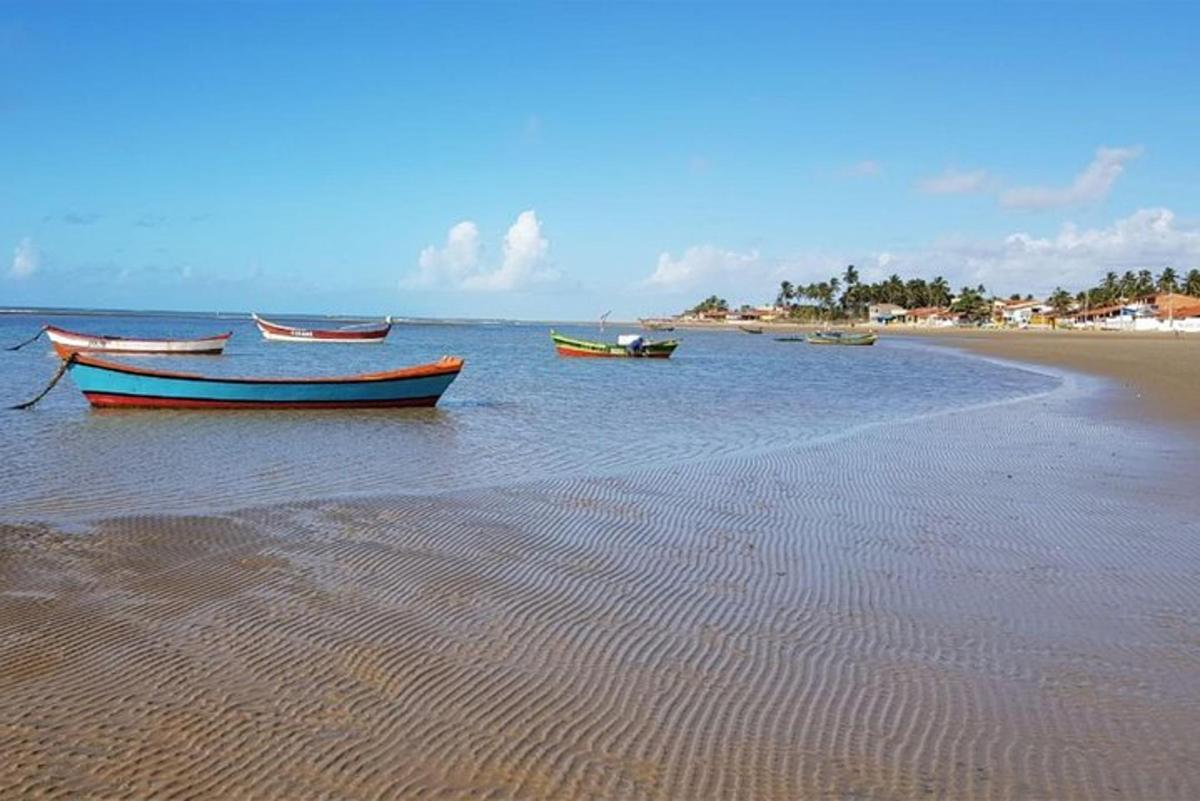 tre barche sedute in acqua su una spiaggia