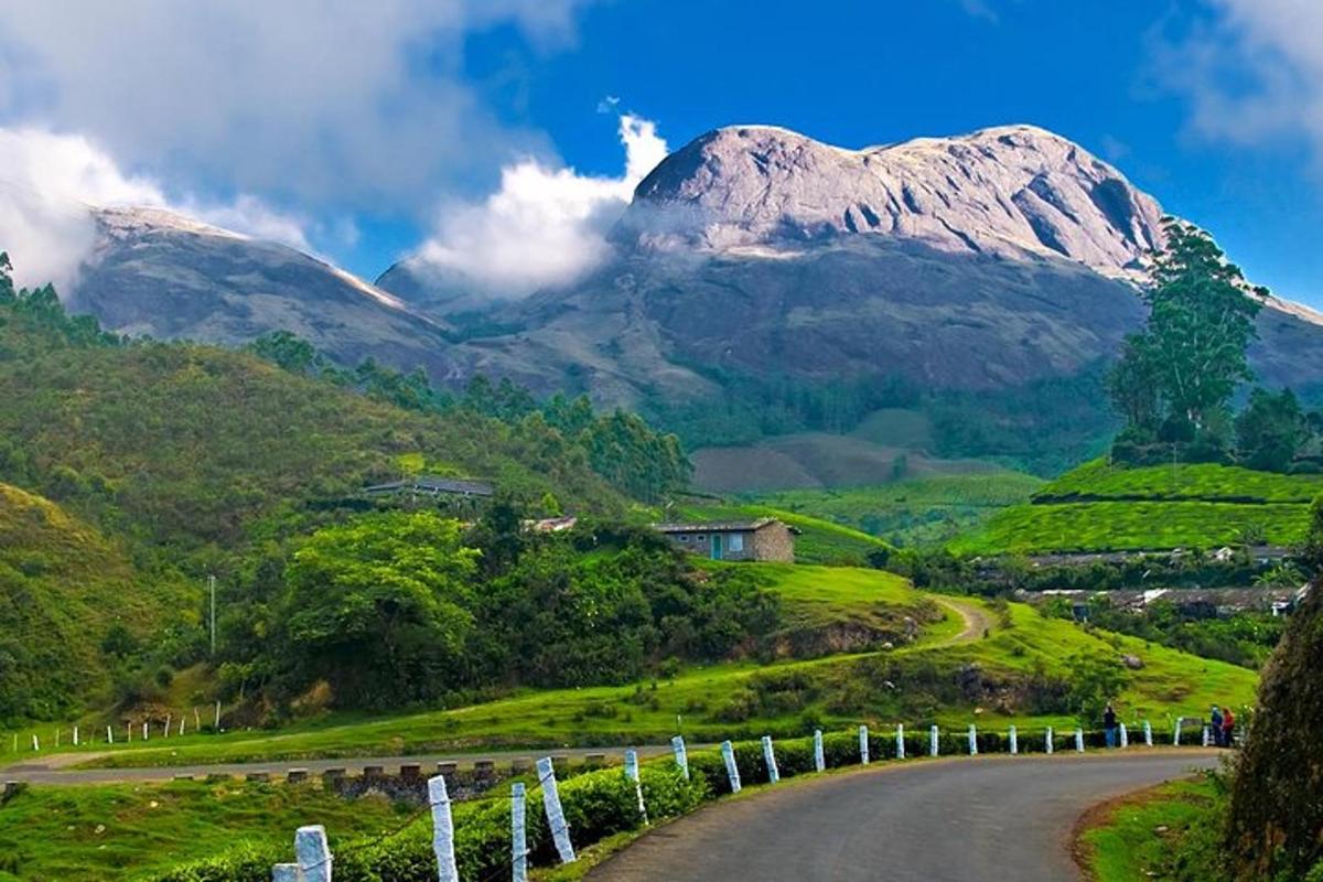 a winding road with a mountain in the background