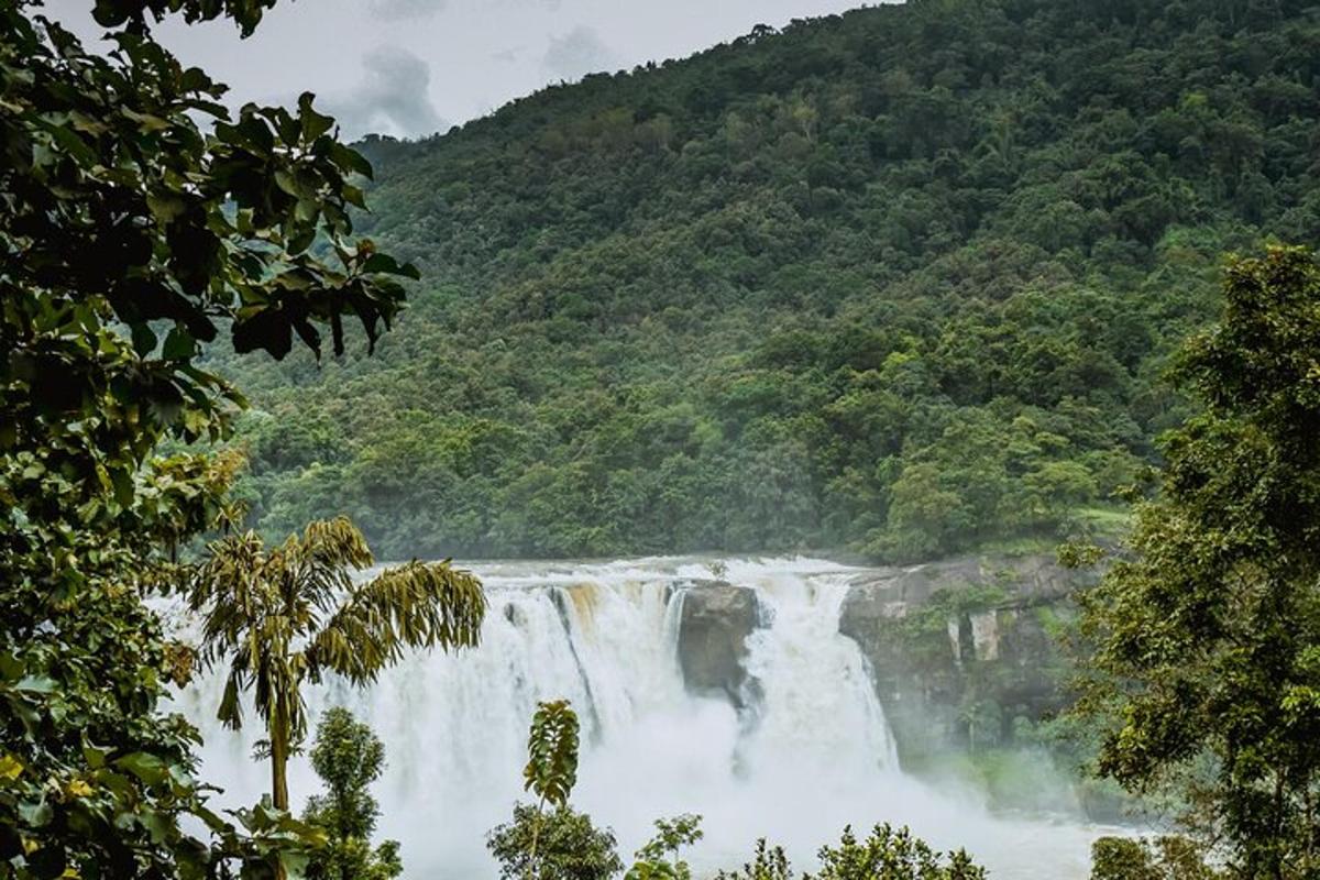 a waterfall in the middle of a river with trees