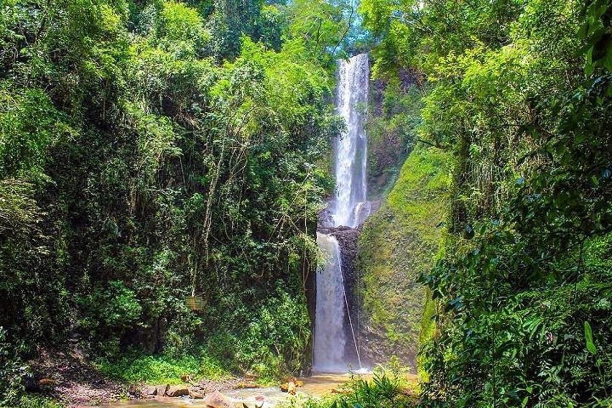 a waterfall in the middle of a forest