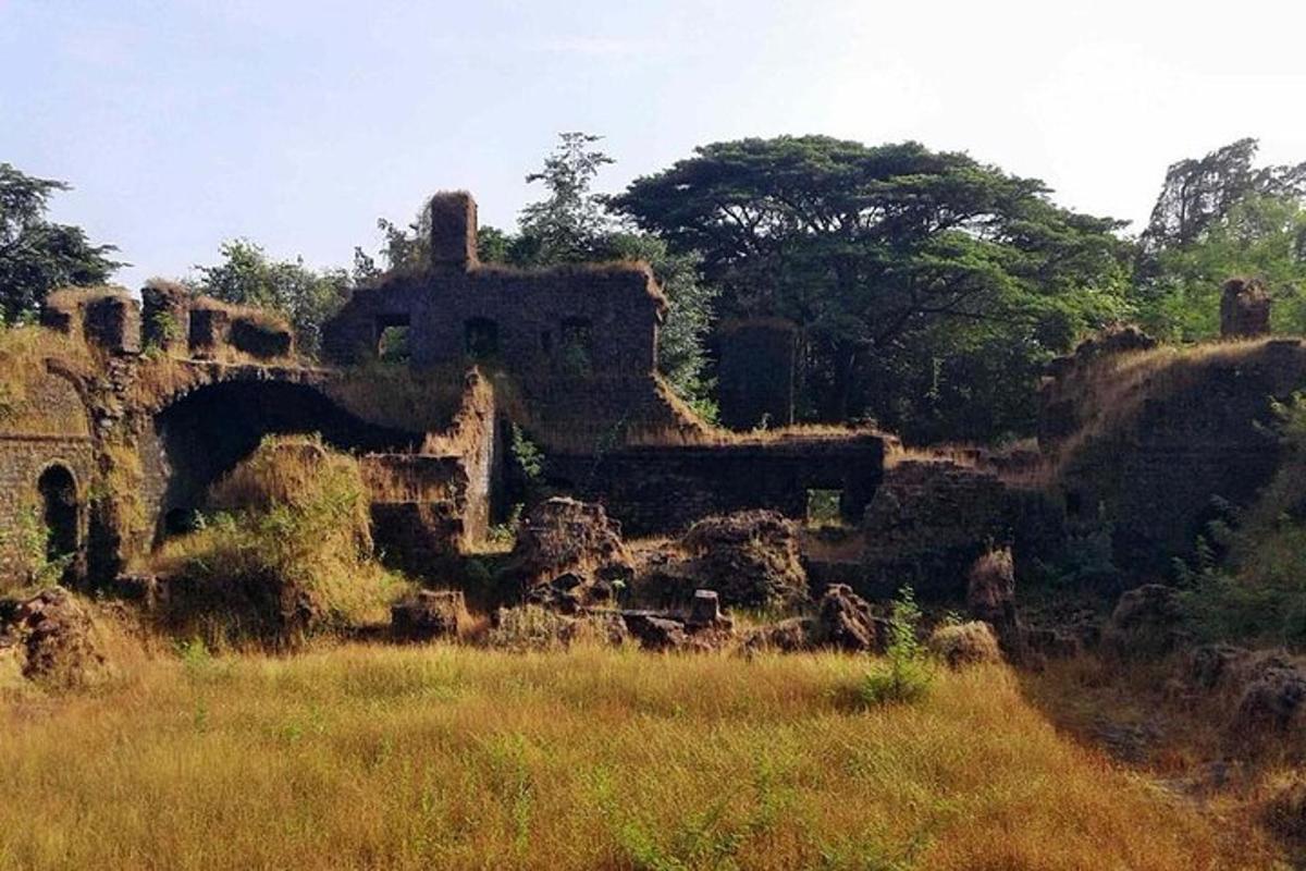 ein altes Gebäude auf einem Feld mit Gras und Bäumen