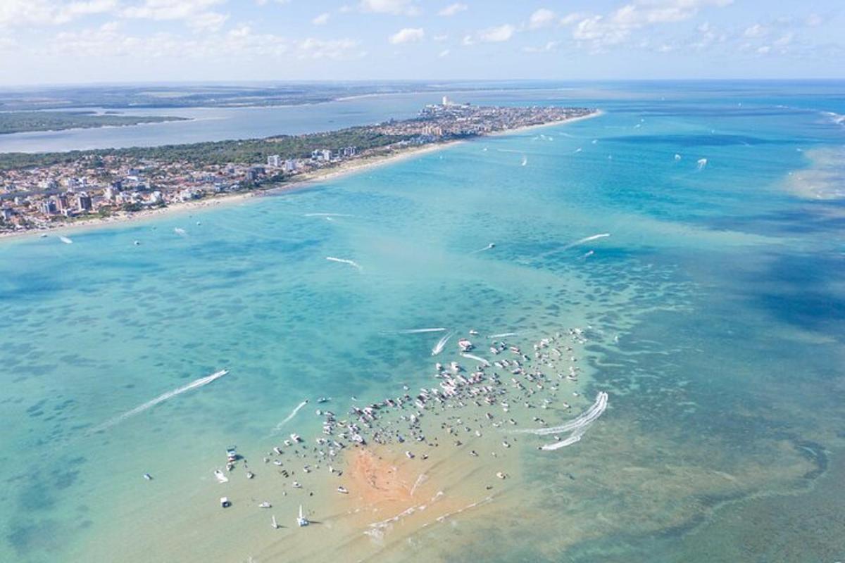 a group of people standing in the water on a beach