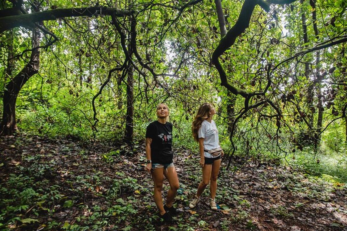 a man and a woman standing in the woods