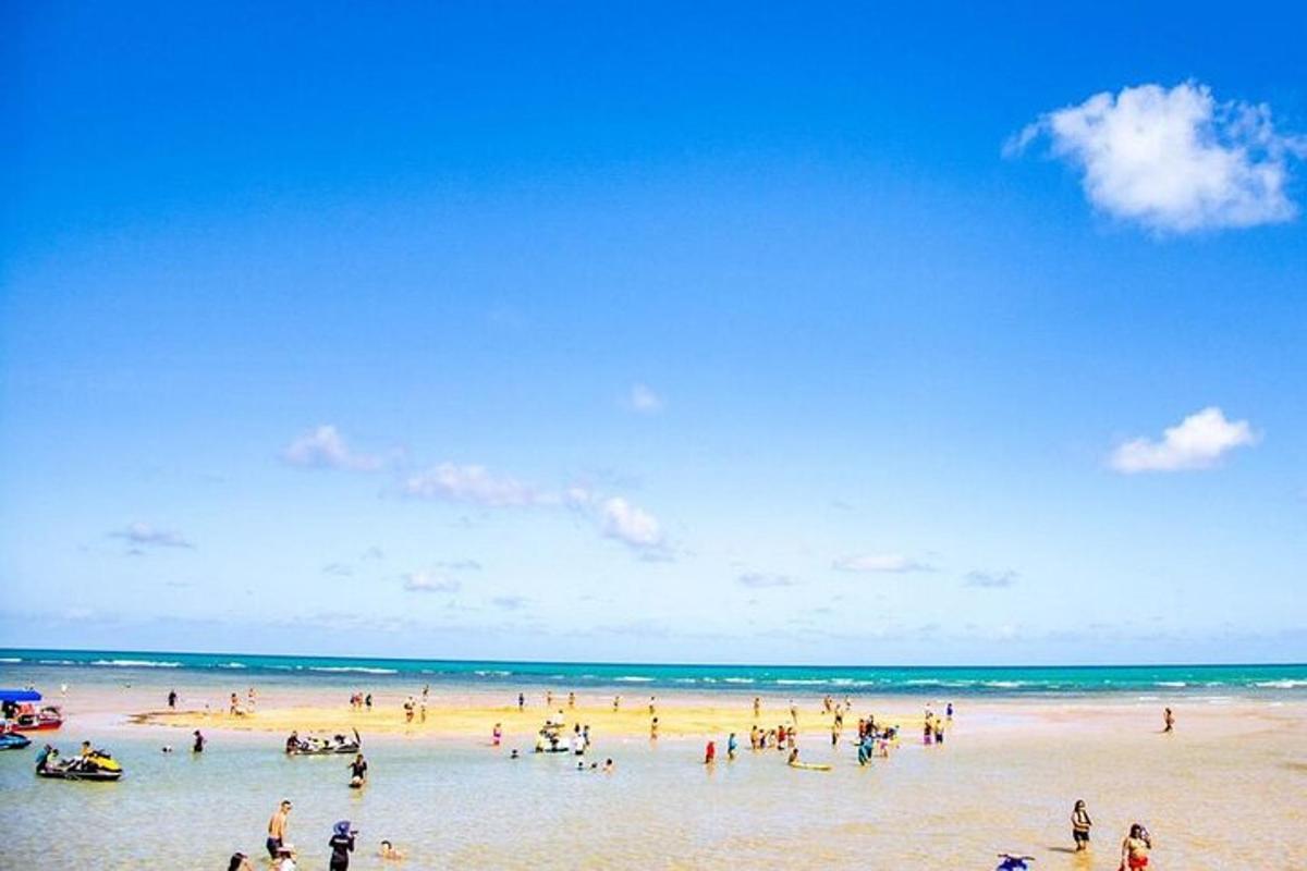 a large group of people on a beach