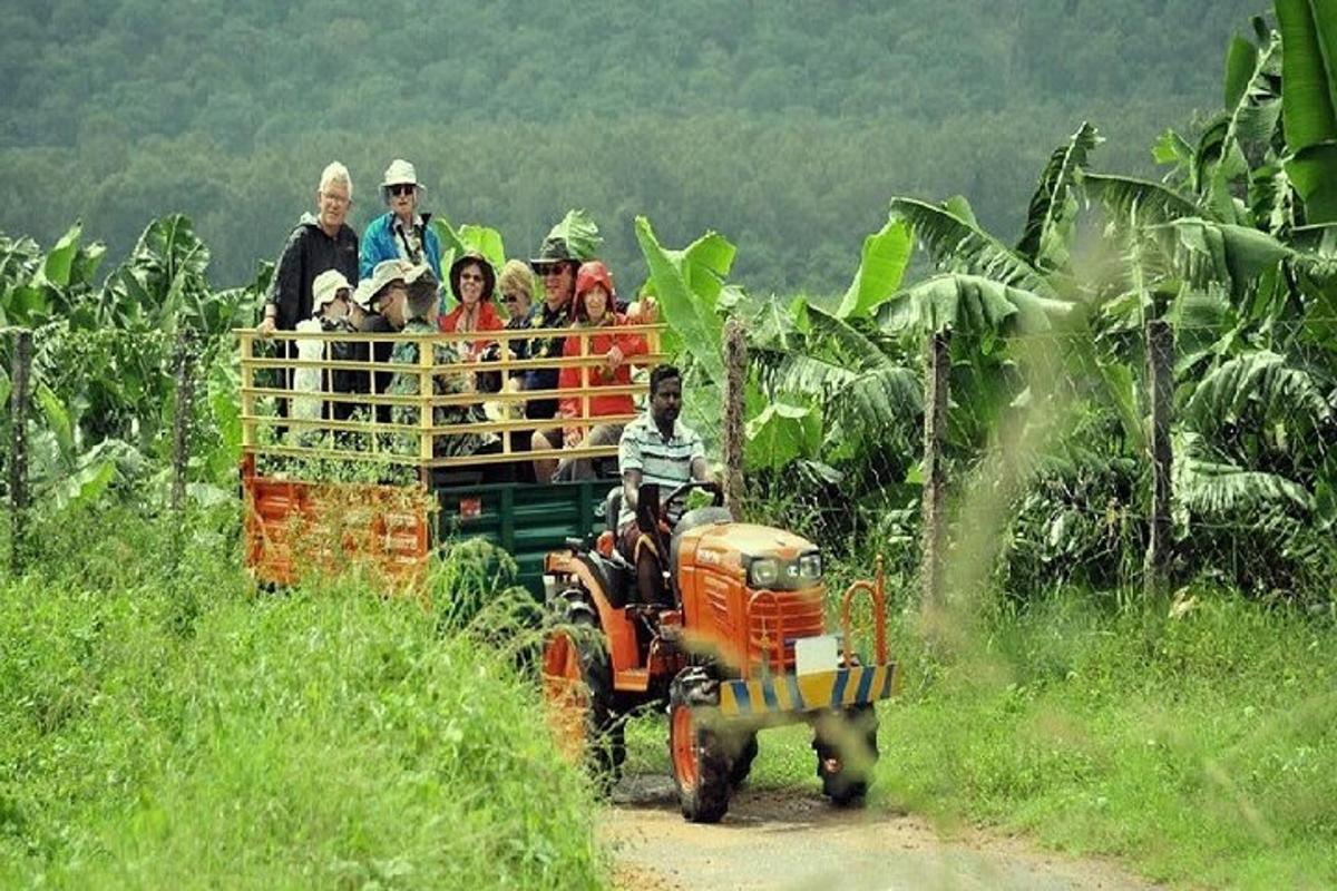 a group of people riding in the back of a truck