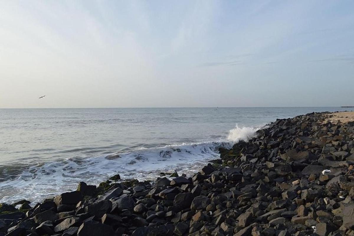 a rocky beach with a bird flying over the ocean
