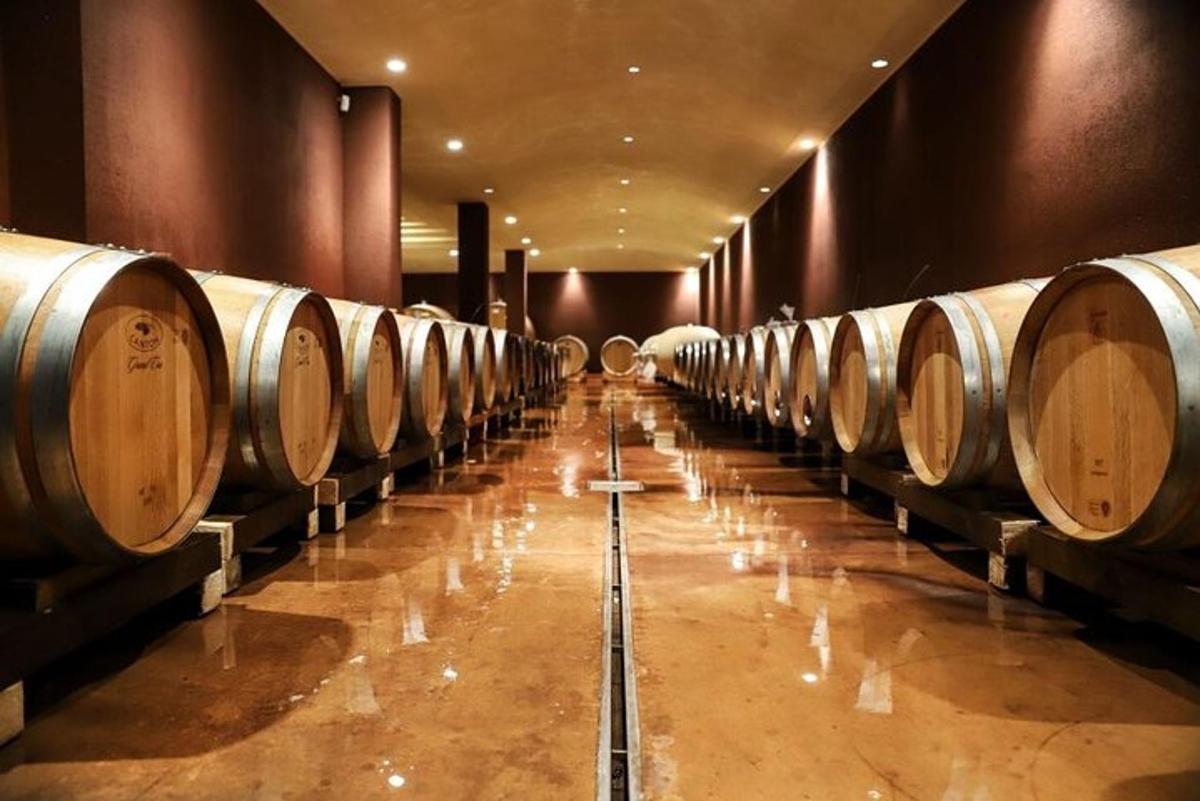 un rând de butoaie de vin într-o pivniță de vinuri