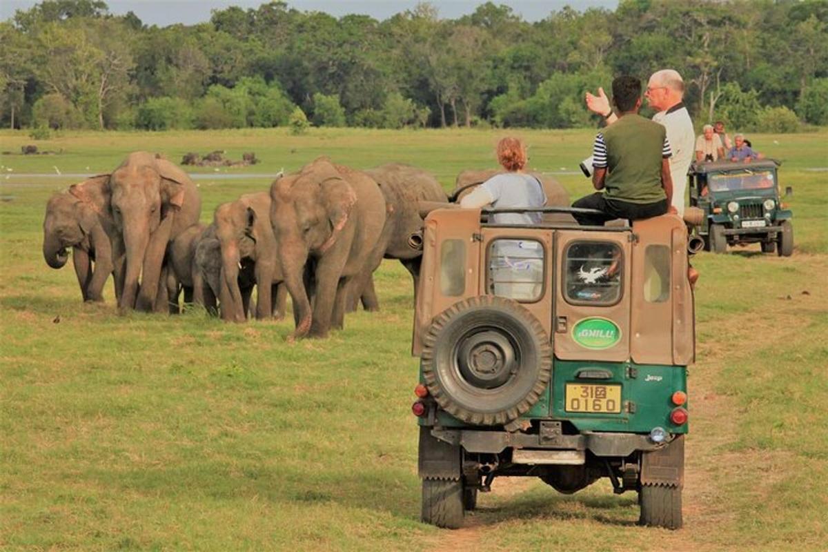 a group of people sitting in a jeep watching a herd of elephants