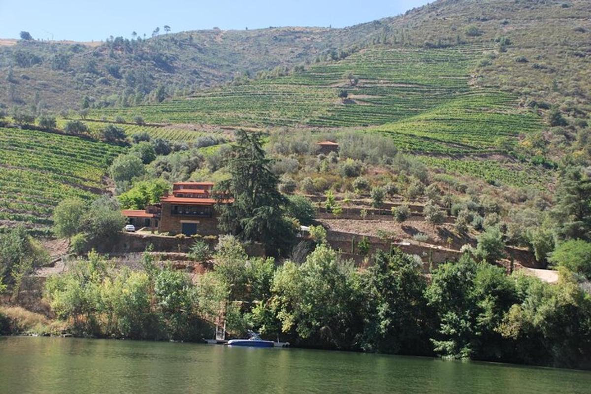 a house on a hill next to a river