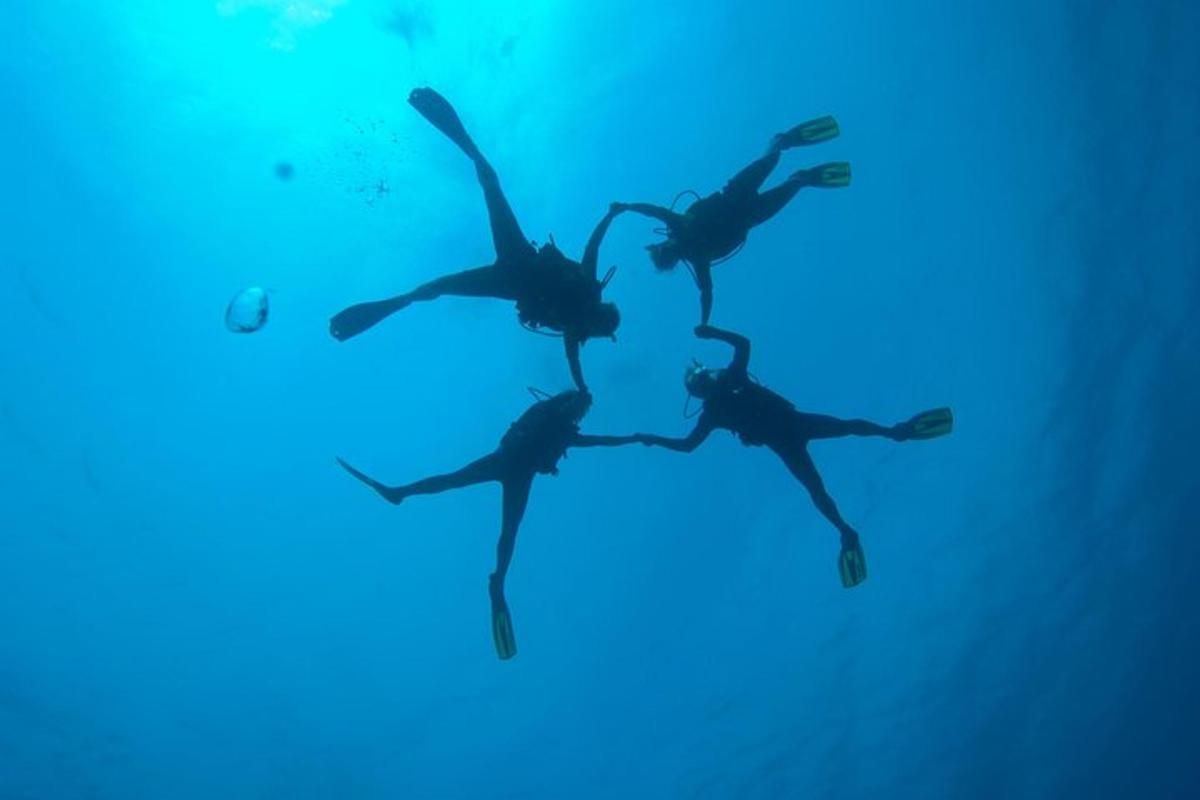 a group of people swimming in the water