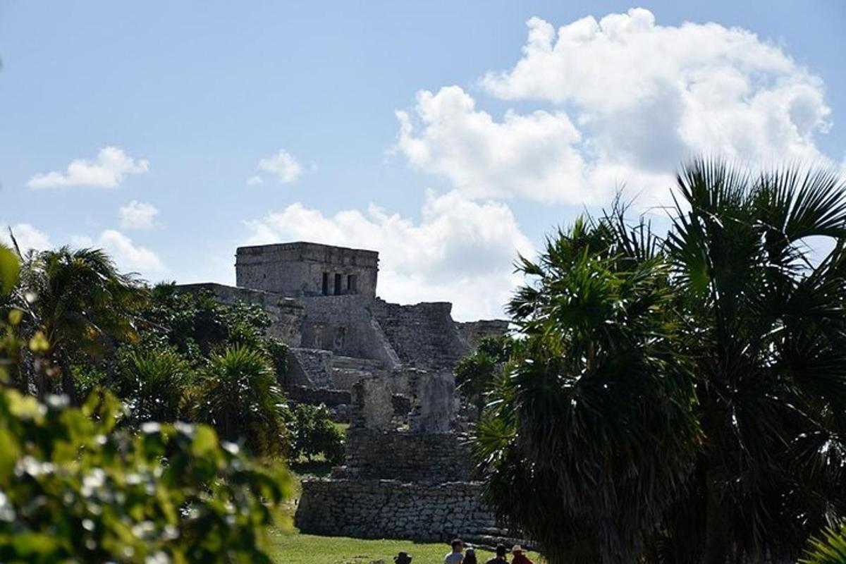 a castle on top of a hill with palm trees