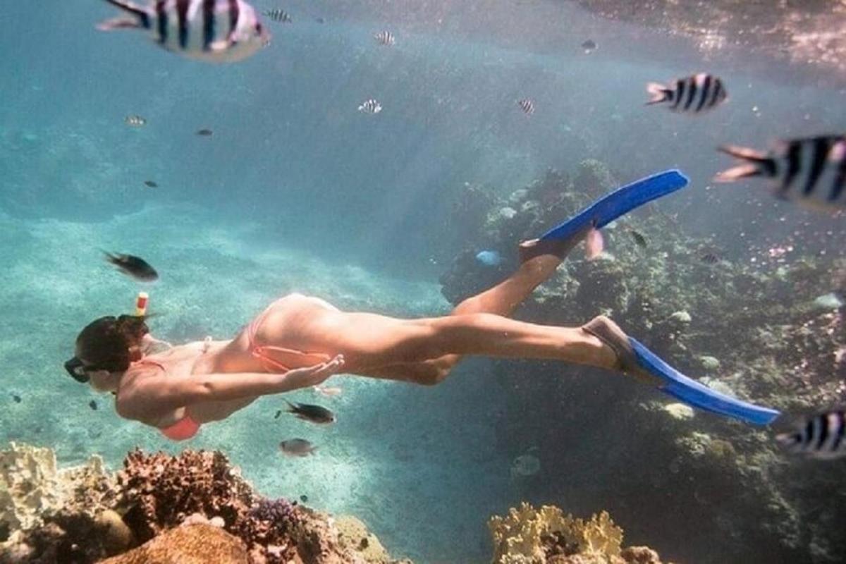 un uomo che nuota nell'acqua con un frisbee