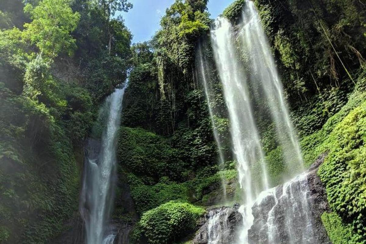 air terjun di tengah-tengah hutan