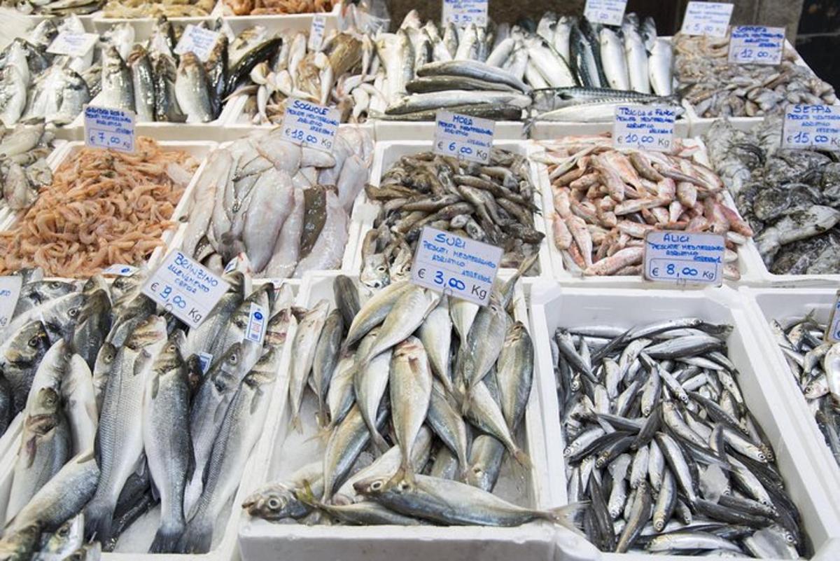 uma exposição de peixes à venda em um mercado de peixes