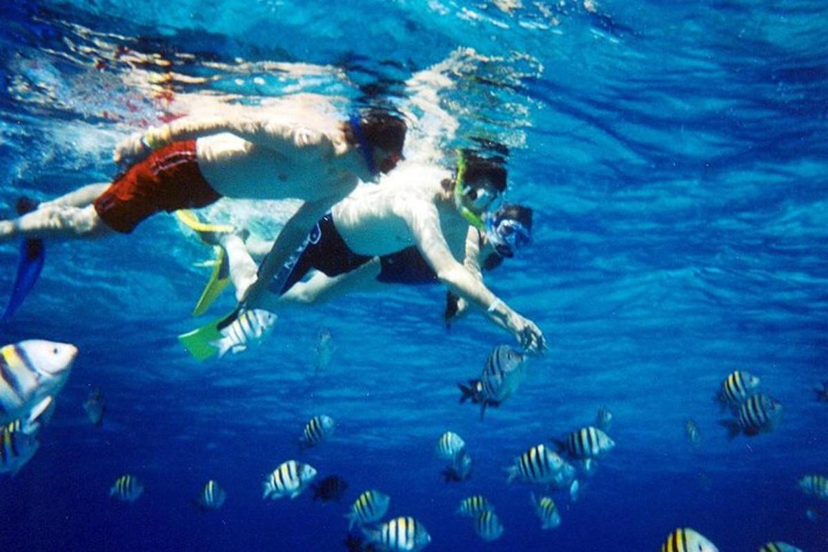 dos personas nadando en el agua con peces
