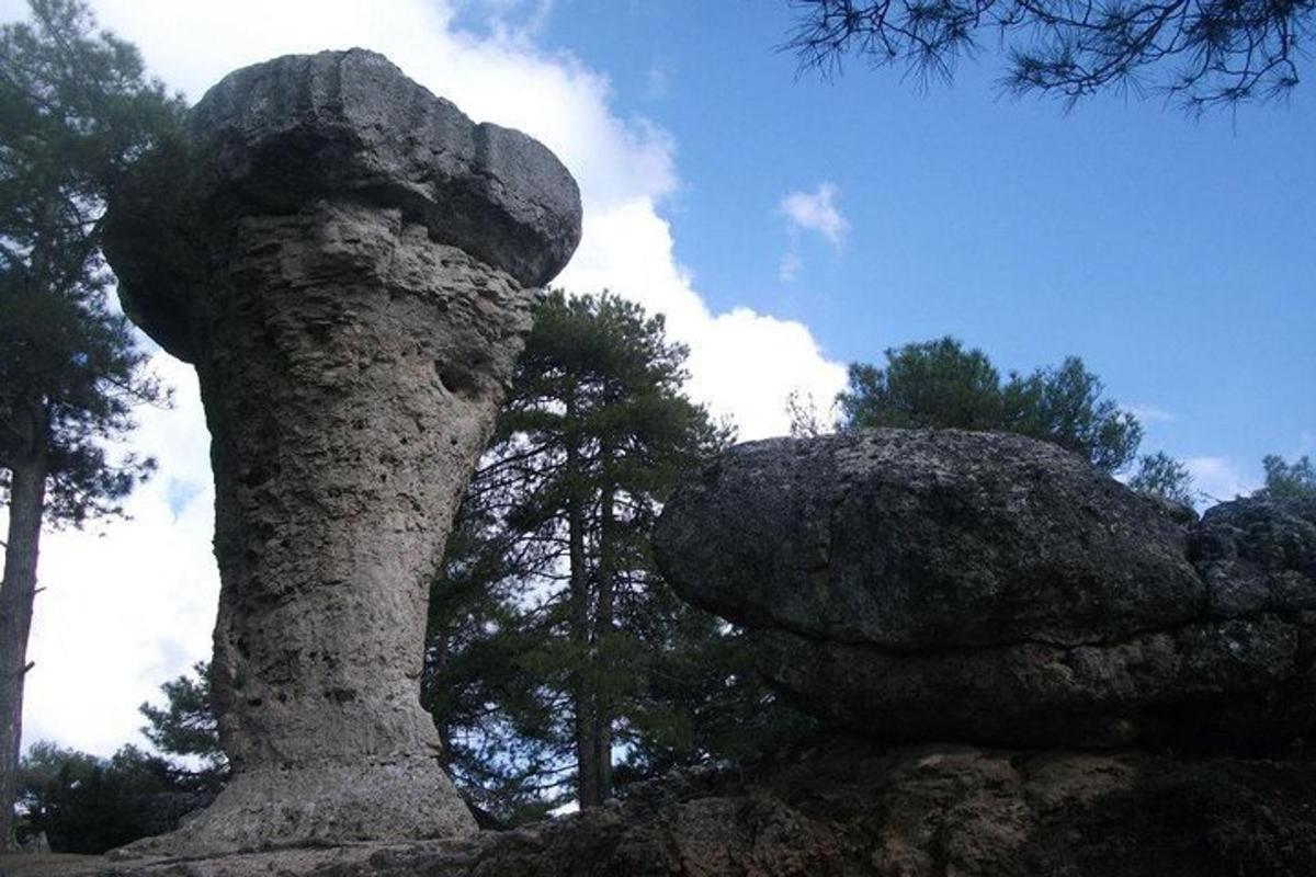 velký kámen vedle stromu a hromada kamení