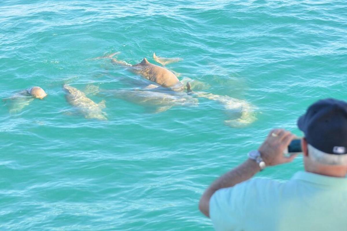 a man taking a picture of dolphins in the water