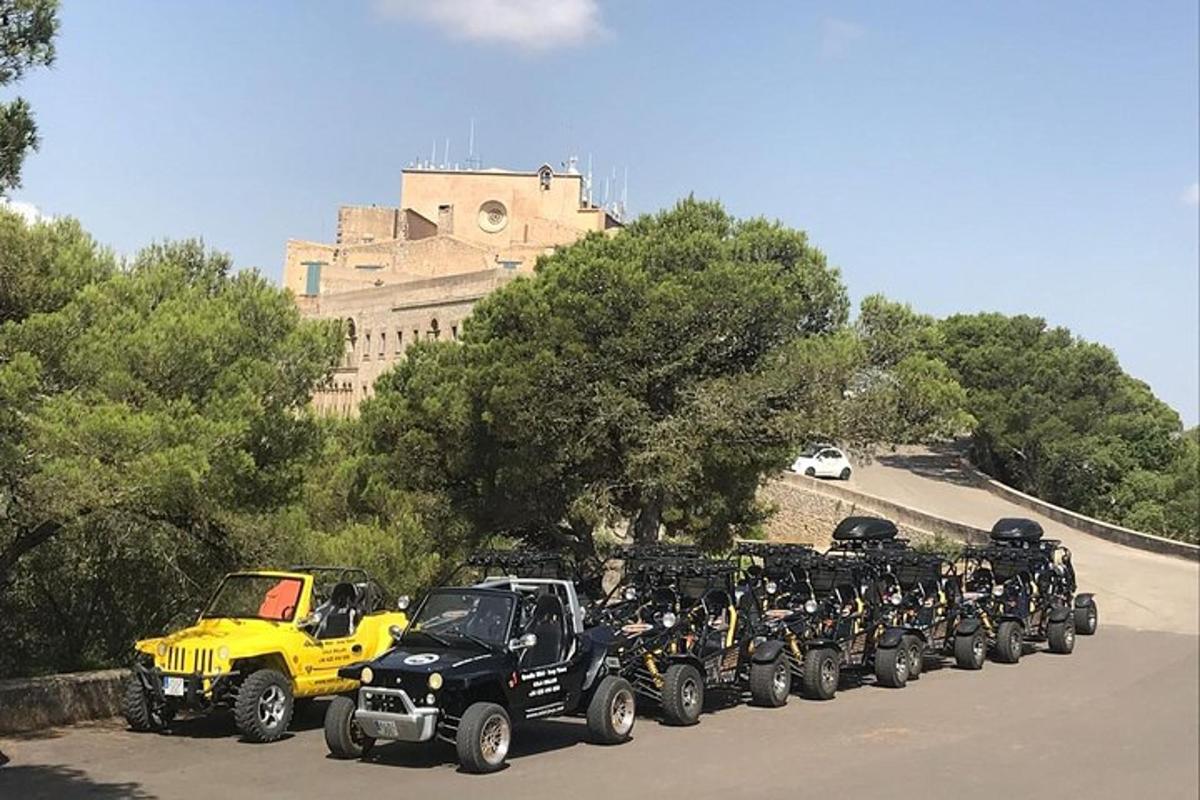 μια μεγάλη ομάδα φορτηγών παρκαρισμένων σε έναν δρόμο