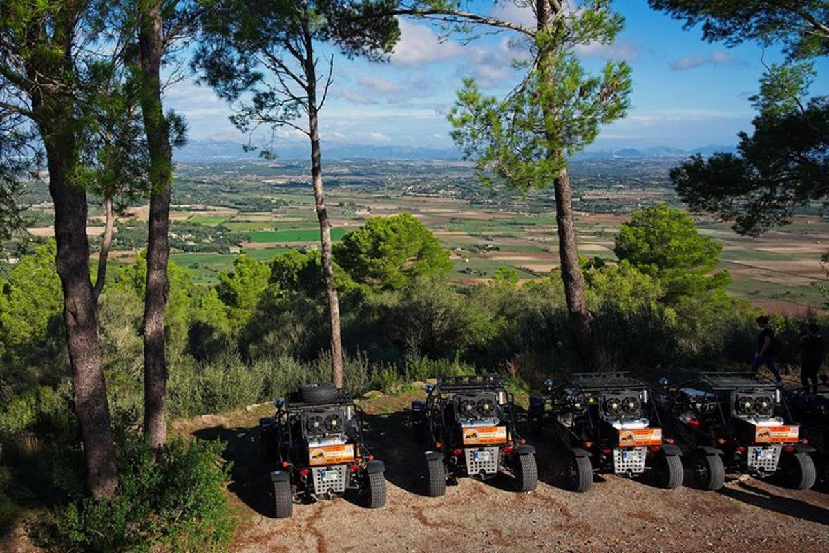 μια σειρά από ATV παρκαρισμένα σε έναν λόφο με δέντρα