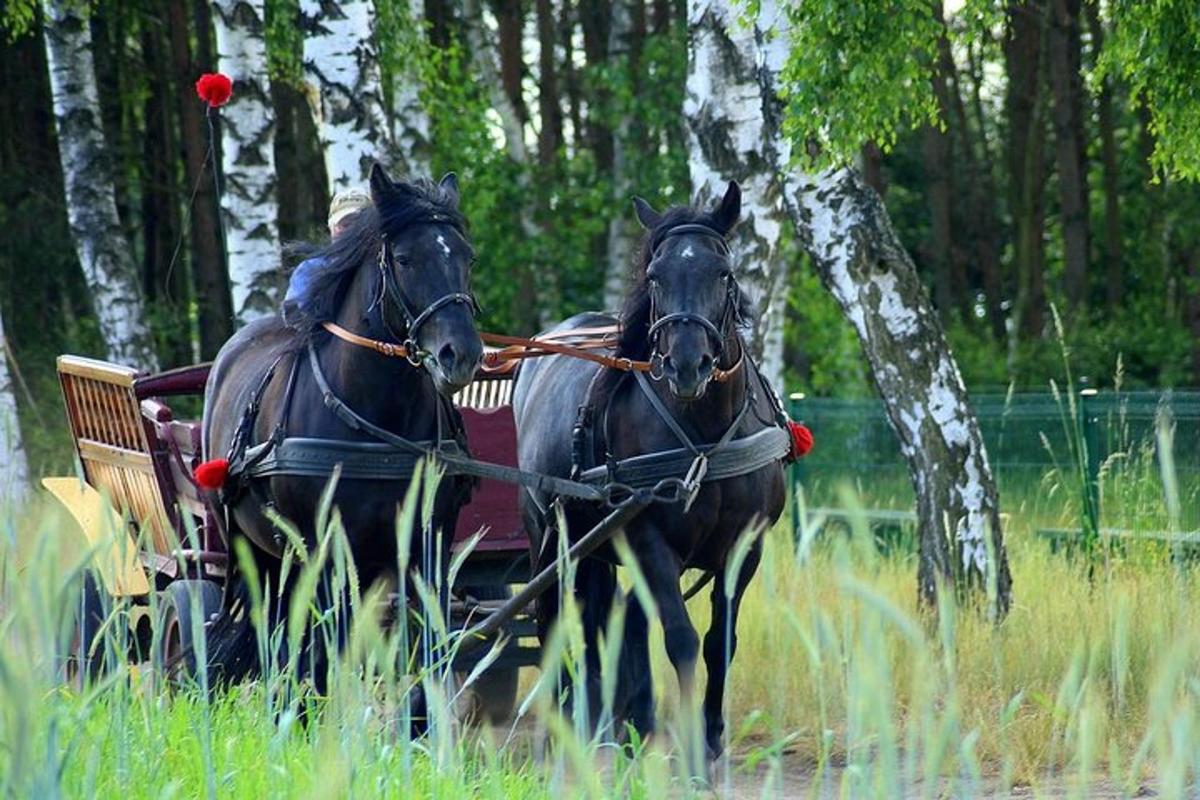 kaks hobust põllul vankrit vedamas