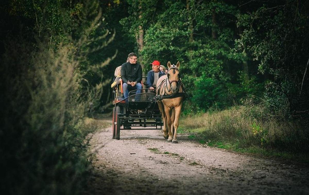 grupp inimesi, kes sõidavad hobuvankril