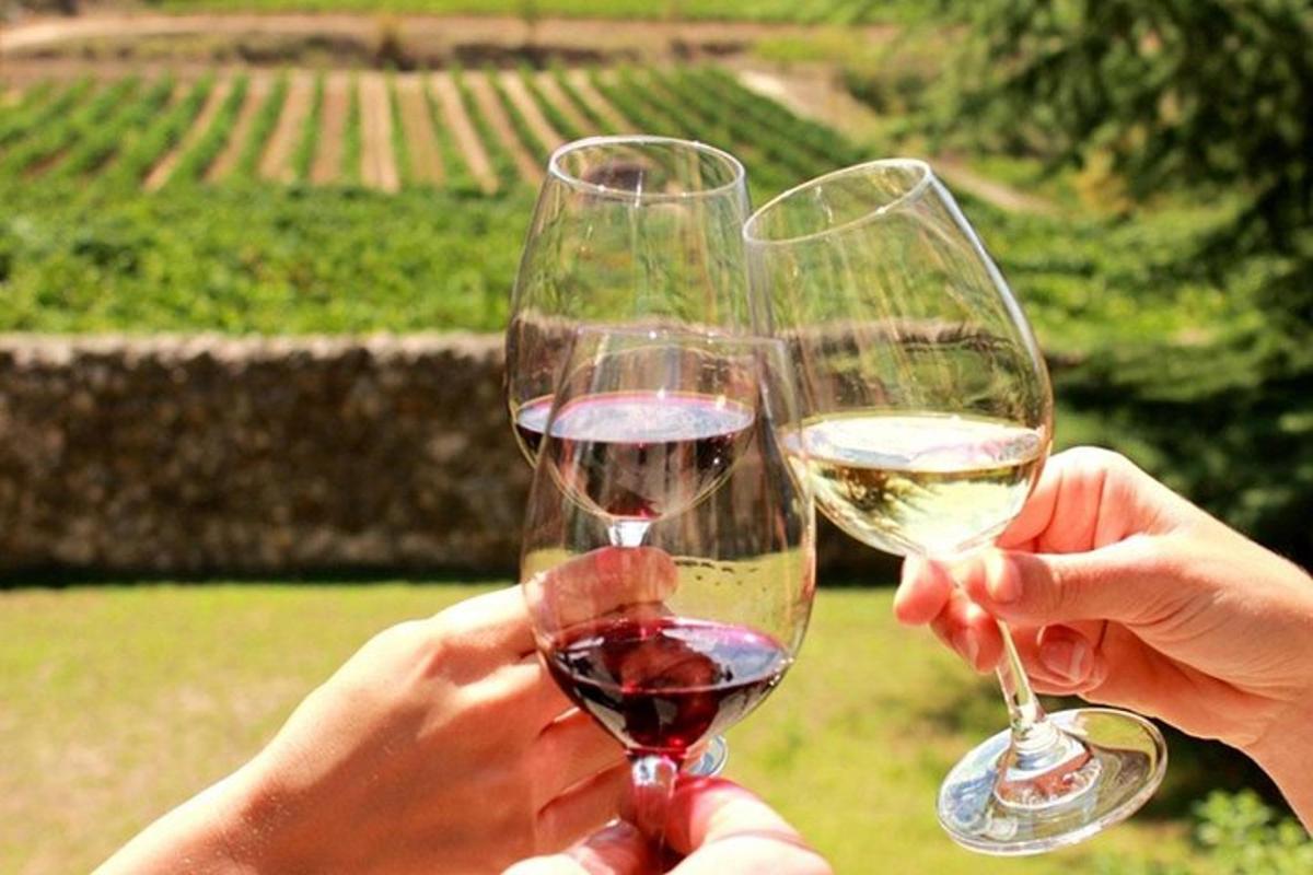două persoane care țin în mână pahare de vin alb și roșu